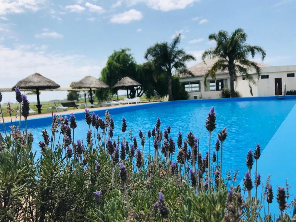 Complejo Turistico Flores 特立尼达 外观 照片
